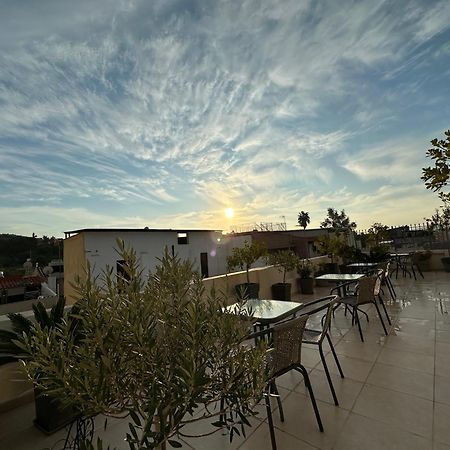 Theasis Athens Bed and Breakfast Exteriör bild
